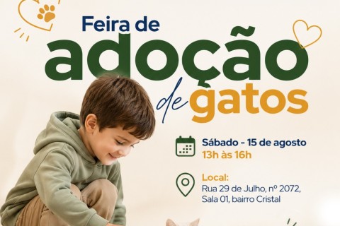 Gatos resgatados em apartamento: primeiros animais serão encaminhados para adoção