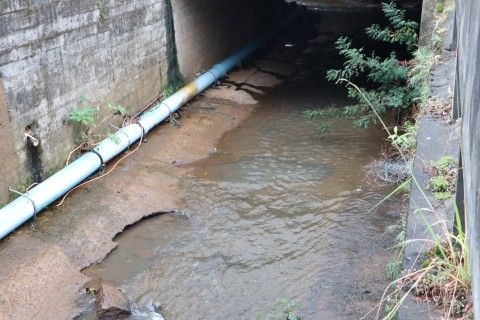 Limpeza do Rio dos Queimados para prevenção de alagamentos