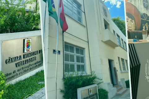 Rutineia propõe que presos construam casinhas para animais abandonados em Concórdia