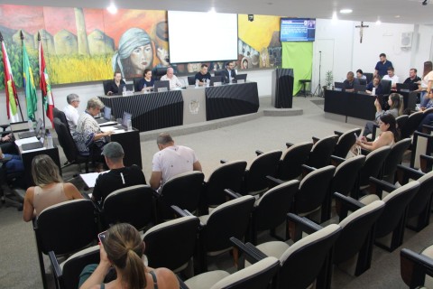 Bee sugere inclusão de alerta no aplicativo do estacionamento rotativo