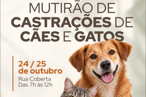 Mutirão de castrações de cães e gatos neste fim de semana na Rua Coberta